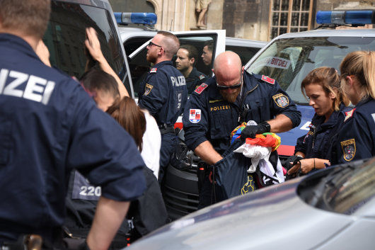 Cops vs Regenbogenfahne